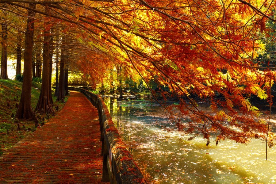 🏞️ 앞 연못 (마에이케)